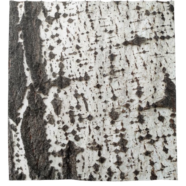 Weathered birch trunk (Front)