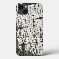 Weathered birch trunk