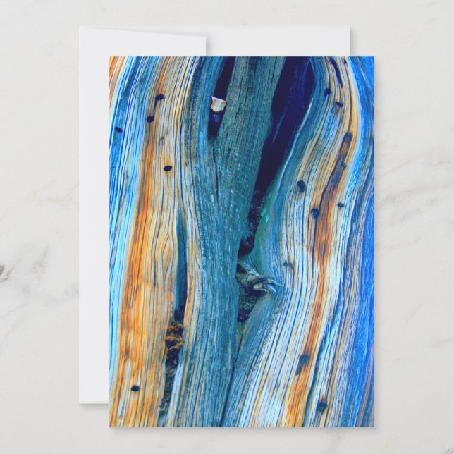 weathered blue  barn boards (Front)