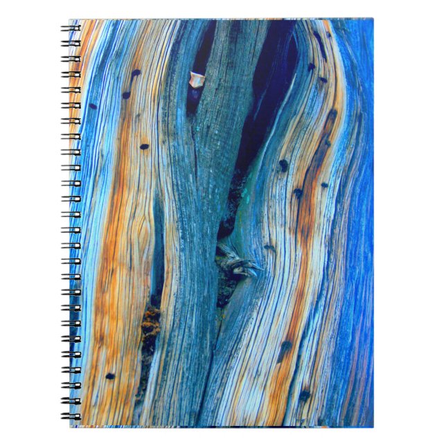 weathered blue barn boards notebook (Front)
