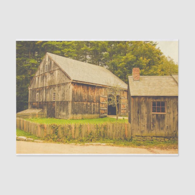 Weathered Momma Barn with Her Baby Barn Tissue Paper (Front)