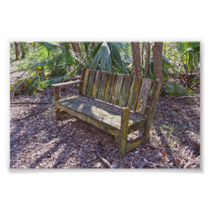 Weathered Park Bench, Dauphin Island Photo Print