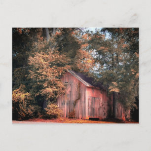 Weathered Wooden Barn in Autumn Light Postcard