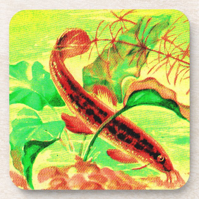 weatherfish coaster (Front)