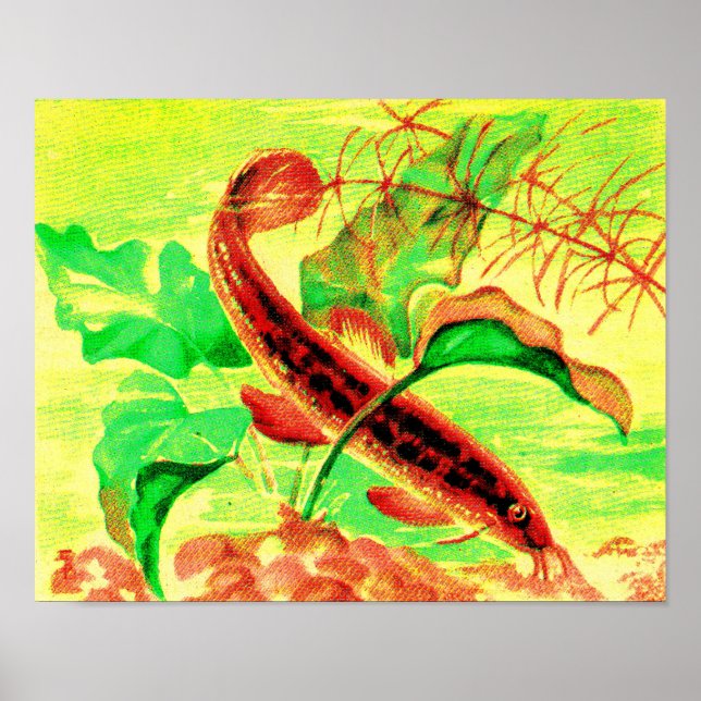 weatherfish poster (Front)