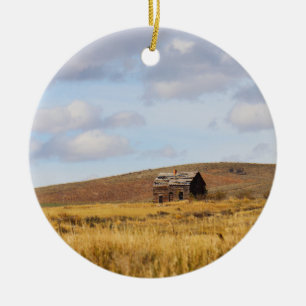 Weathering the Stillness  Ceramic Ornament
