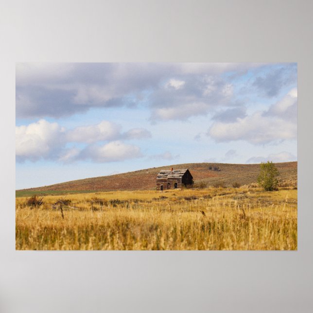Weathering the Stillness  Poster (Front)
