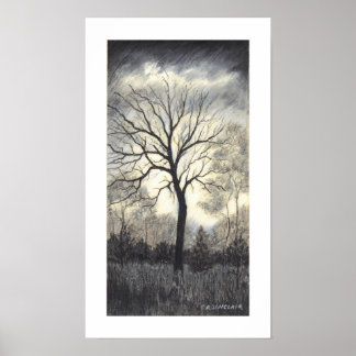 WEATHERING the STORM by CR SINCLAIR Poster