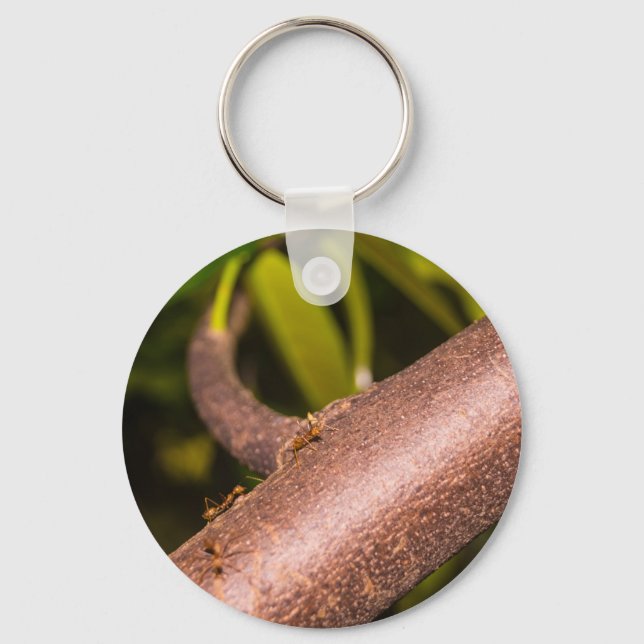 Weaver Ants on a Wood Keychain (Front)