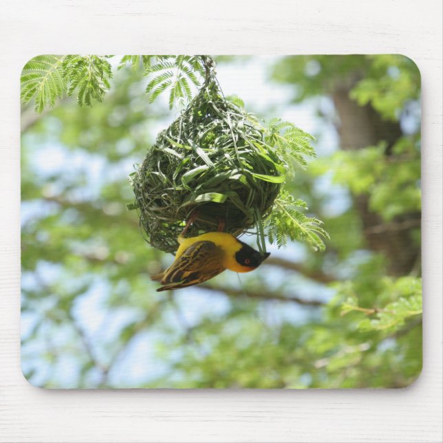 Weaver bird, Nest, Kalahari desert Mouse Pad (Front)