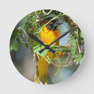 Weaver Bird Round Clock