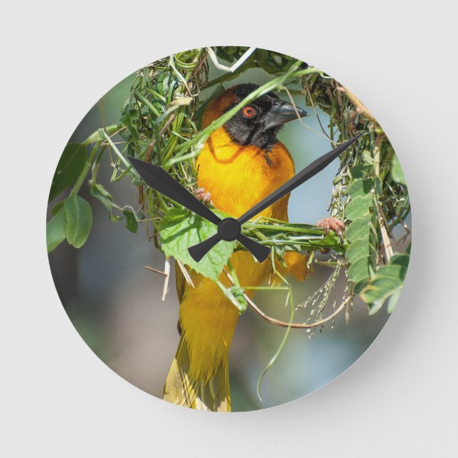 Weaver Bird Round Clock (Front)