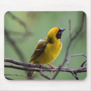 Weaver, Bird, Yellow bird Mouse Pad