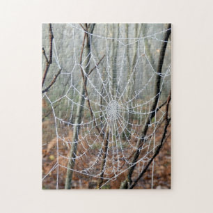 Web de puzzle européen de photo d'araignée de