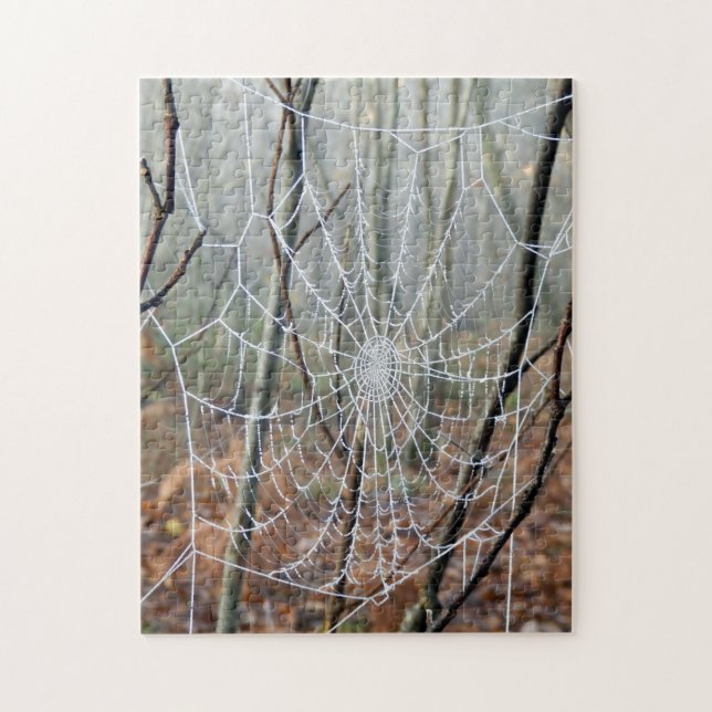 Web de puzzle européen de photo d'araignée de (Vertical)