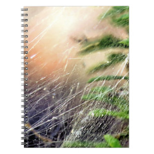 Web design - notebook