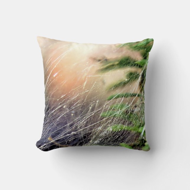 Web design throw pillow (Front)