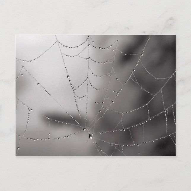 Web drops postcard (Front)