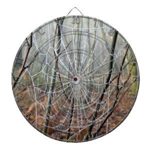 Web of European Garden Spider Dartboard