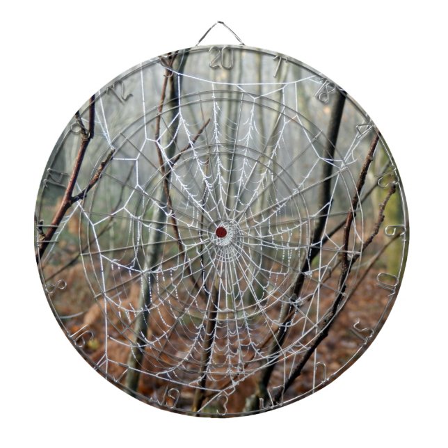 Web of European Garden Spider Dartboard (Front)