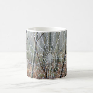 Web of European Garden Spider Mug