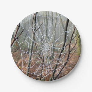 Web of European Garden Spider Paper Plate