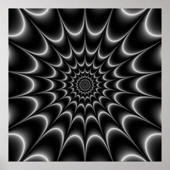 Web Star in Black and White Poster (Front)