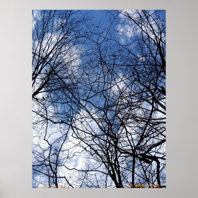 WEBBED SKY. POSTER (Front)