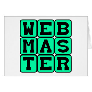 Webmaster, Architecte Web