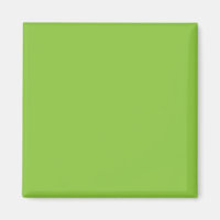 Website with a Green Background and White Border