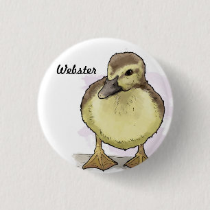 Webster button