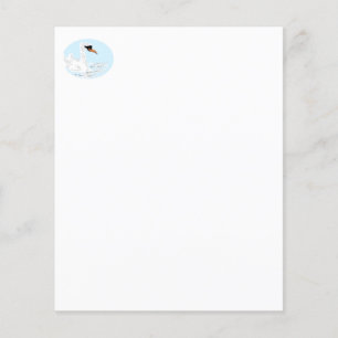 Weddind & other type of Programs :  Swan