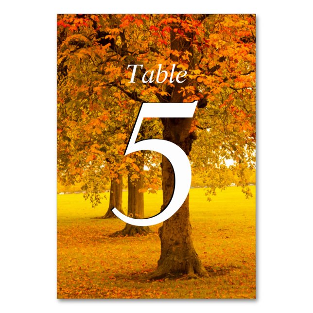 Wedding, Autumn Trees, Numbered Table Number (Front)