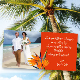 Wedding Bird of Paradise Budget Photo Thank Cards