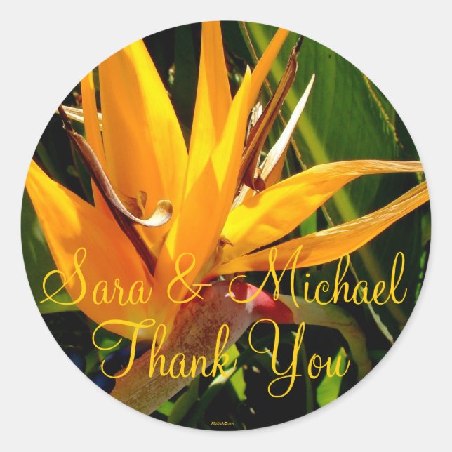 Wedding Bird of Paradise Thank You Label (Front)