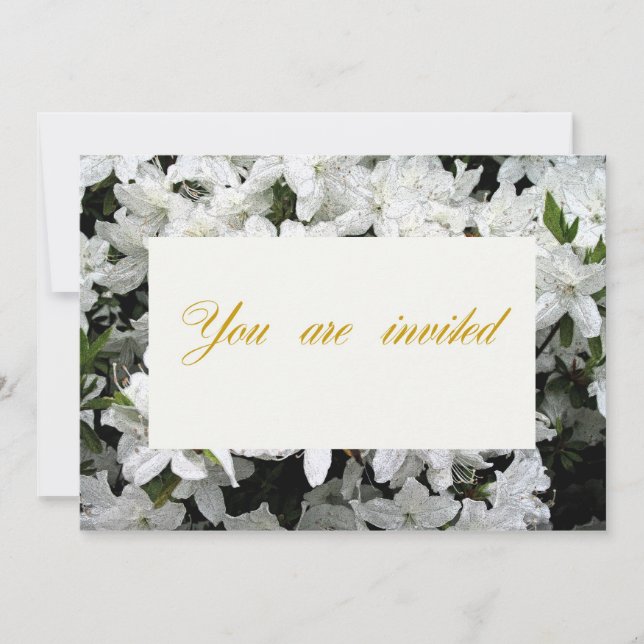 Wedding, Birthday, Anniversary Invitation (Front)