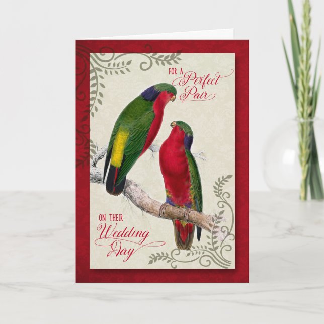 Wedding Congratulations Vintage Lorikeet Parrots Card (Front)