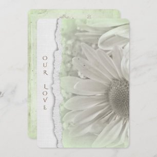 wedding daisy in soft green with torn paper edge invitation