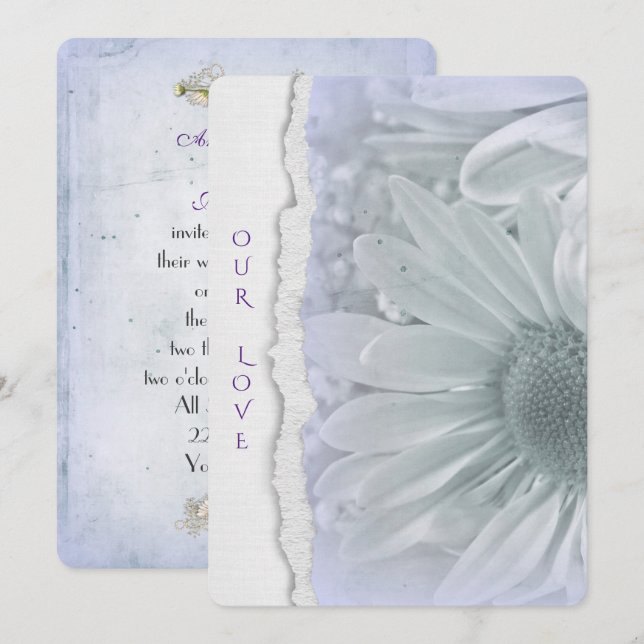 wedding daisy in soft purple with torn paper edge invitation (Front/Back)