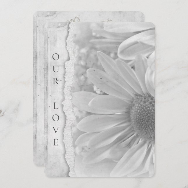 Wedding Daisy Macro With Torn Edge Border Invitation (Front/Back)