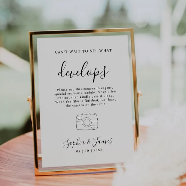 Wedding Disposable Camera Sign Wedding Photo Sign Invitation (Wedding Disposable Camera Sign Wedding Photo Sign Invitation)