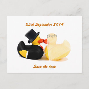 Wedding ducks 3 ... Postcard