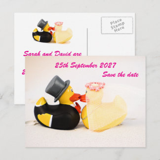 Wedding ducks beach wedding ... Postcard