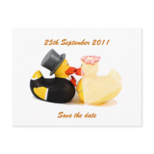 Wedding ducks ... Postcard