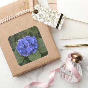 Wedding Envelope Stickers Blue Hydrangea Flower