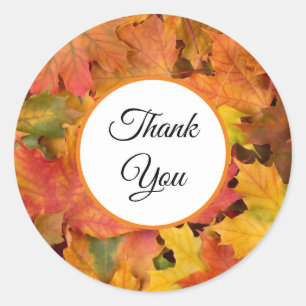 Wedding Fall Leaves Autumn Colours Thank You Classic Round Sticker
