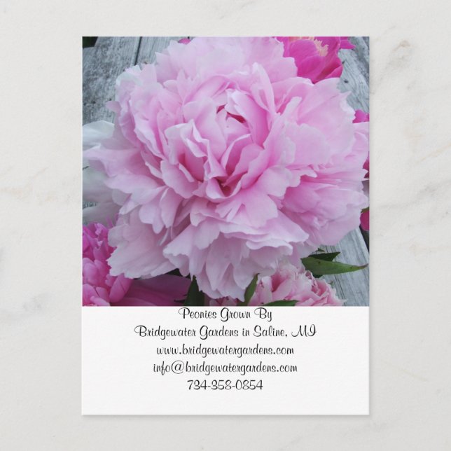 Wedding Florist Business Card Postcard (Front)