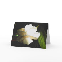 Wedding Fragrant Ivory Gardenia Blossom