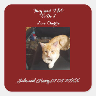 Wedding Ginger Cat Photo Text Customize Square Sticker