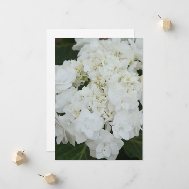 Wedding Gown Hydrangea Wedding  Announcement (Front/Back In Situ)